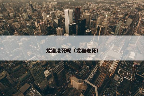 龙猫没死呢（龙猫老死）
