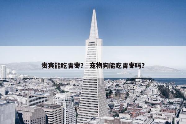 贵宾能吃青枣？ 宠物狗能吃青枣吗？