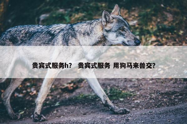 贵宾式服务h？ 贵宾式服务 用狗马来兽交？