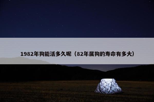 1982年狗能活多久呢（82年属狗的寿命有多大）