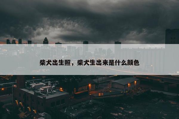 柴犬出生照，柴犬生出来是什么颜色