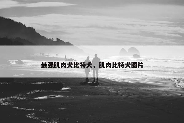 最强肌肉犬比特犬，肌肉比特犬图片