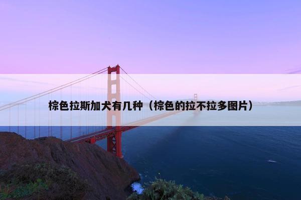 棕色拉斯加犬有几种（棕色的拉不拉多图片）