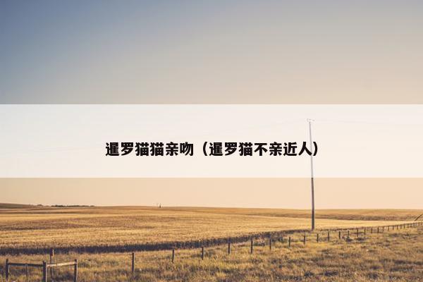 暹罗猫猫亲吻（暹罗猫不亲近人）