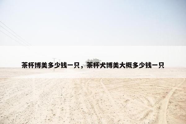 茶杯博美多少钱一只，茶杯犬博美大概多少钱一只