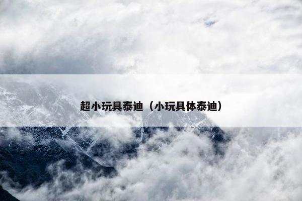 超小玩具泰迪（小玩具体泰迪）