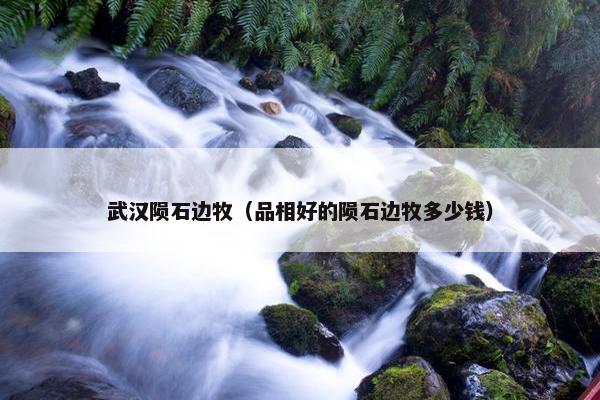 武汉陨石边牧（品相好的陨石边牧多少钱）