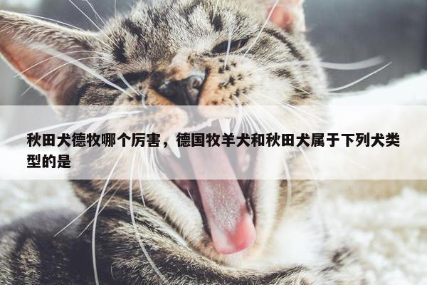秋田犬德牧哪个厉害，德国牧羊犬和秋田犬属于下列犬类型的是