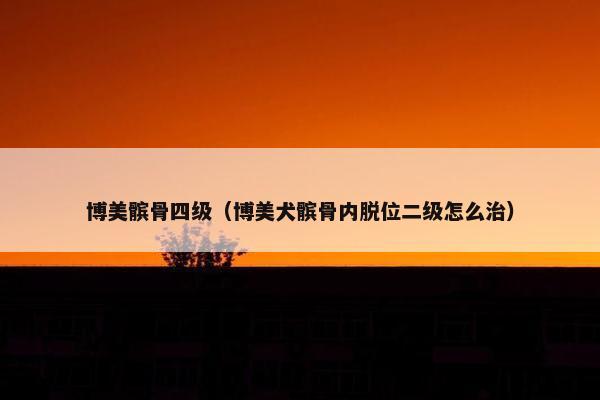 博美髌骨四级（博美犬髌骨内脱位二级怎么治）