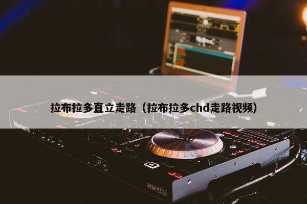 拉布拉多直立走路（拉布拉多chd走路视频）
