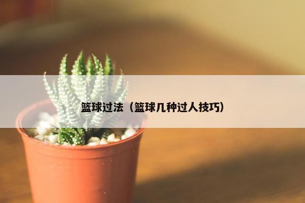 篮球过法（篮球几种过人技巧）