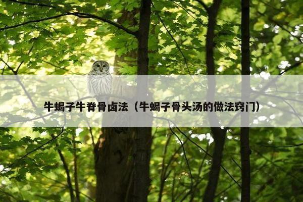 牛蝎子牛脊骨卤法（牛蝎子骨头汤的做法窍门）