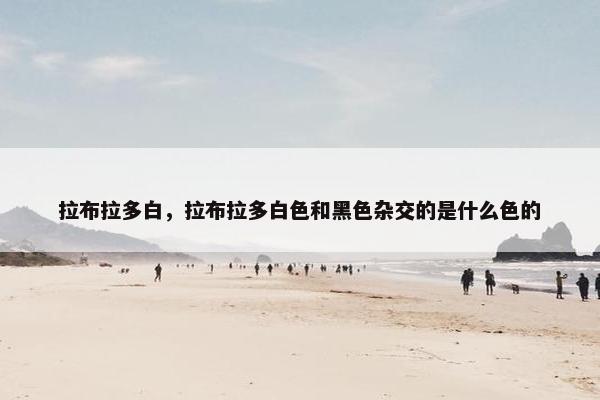 拉布拉多白，拉布拉多白色和黑色杂交的是什么色的