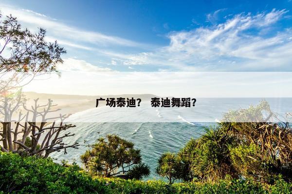 广场泰迪？ 泰迪舞蹈？