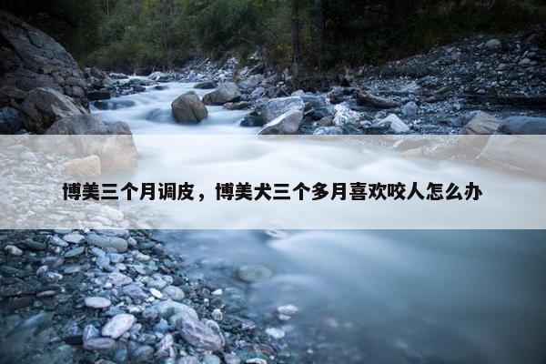 博美三个月调皮，博美犬三个多月喜欢咬人怎么办