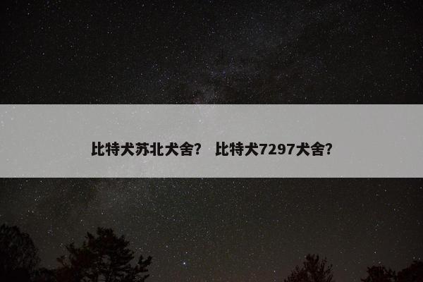 比特犬苏北犬舍？ 比特犬7297犬舍？