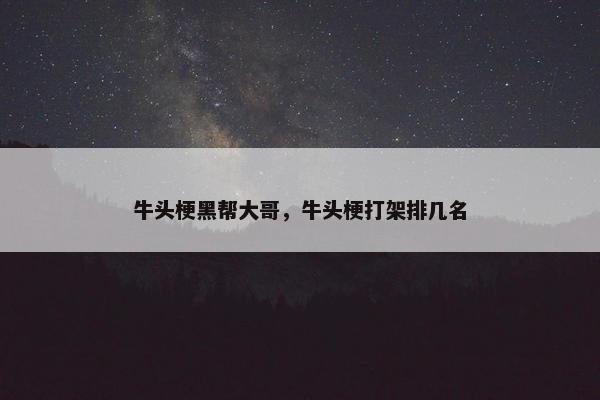 牛头梗黑帮大哥，牛头梗打架排几名