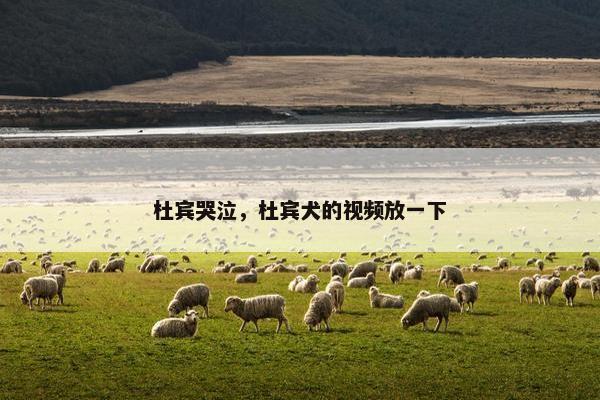 杜宾哭泣，杜宾犬的视频放一下