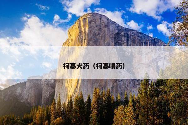柯基犬药（柯基喂药）