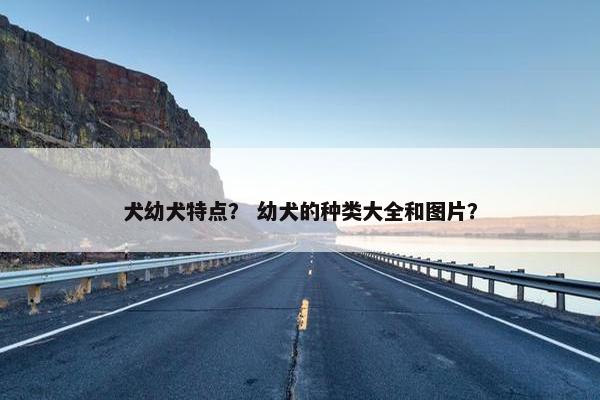 犬幼犬特点？ 幼犬的种类大全和图片？