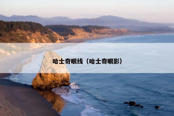 哈士奇眼线（哈士奇眼影）