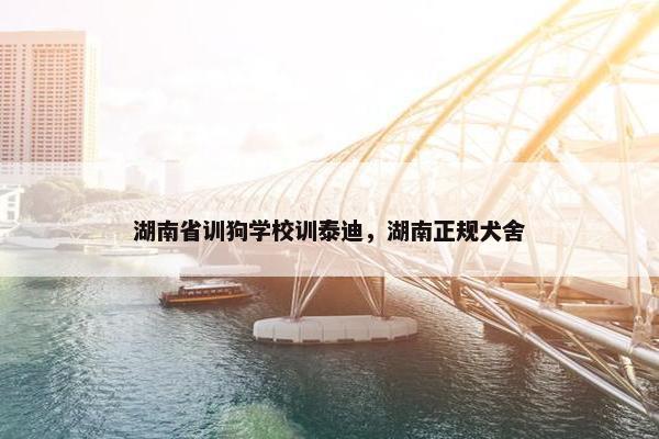 湖南省训狗学校训泰迪，湖南正规犬舍
