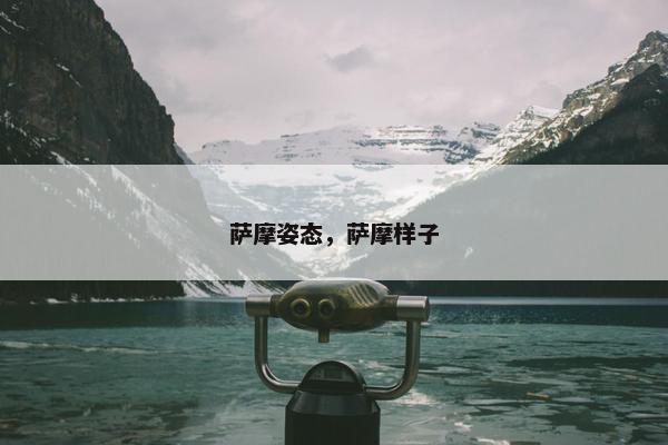 萨摩姿态，萨摩样子