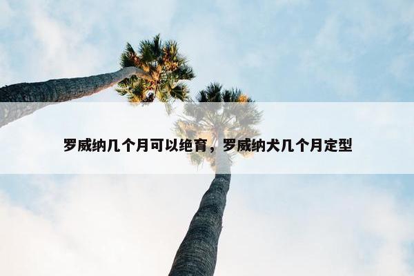 罗威纳几个月可以绝育，罗威纳犬几个月定型