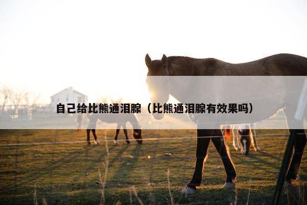 自己给比熊通泪腺（比熊通泪腺有效果吗）