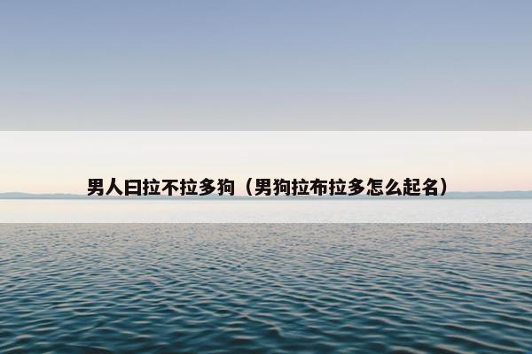 男人曰拉不拉多狗（男狗拉布拉多怎么起名）