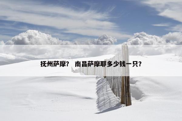 抚州萨摩？ 南昌萨摩耶多少钱一只？