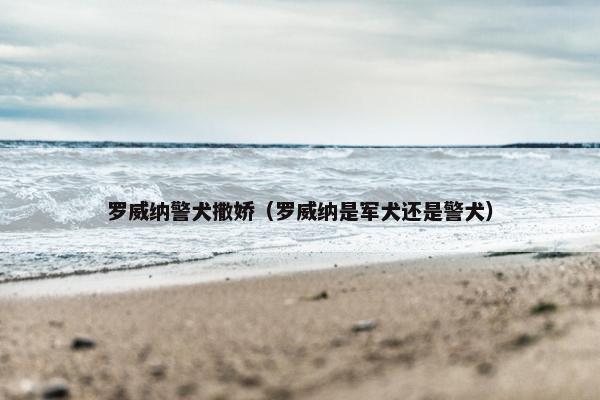 罗威纳警犬撒娇（罗威纳是军犬还是警犬）