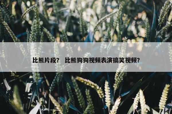 比熊片段？ 比熊狗狗视频表演搞笑视频？