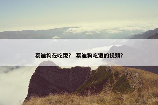 泰迪狗在吃饭？ 泰迪狗吃饭的视频？