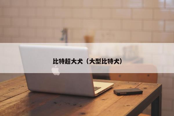 比特超大犬（大型比特犬）
