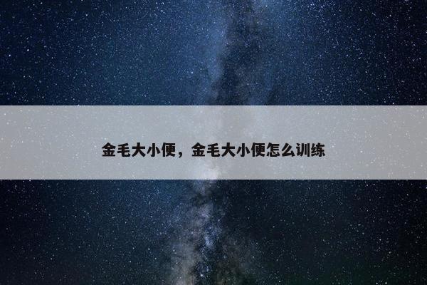 金毛大小便，金毛大小便怎么训练