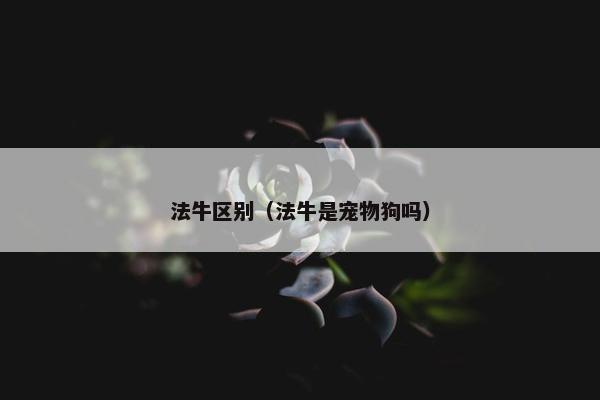 法牛区别（法牛是宠物狗吗）