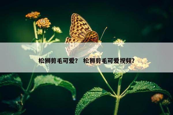 松狮剪毛可爱？ 松狮剪毛可爱视频？