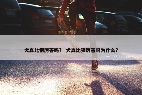犬真比狼厉害吗？ 犬真比狼厉害吗为什么？