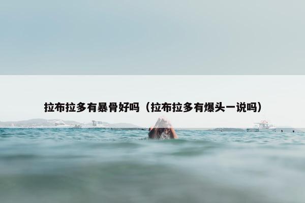 拉布拉多有暴骨好吗（拉布拉多有爆头一说吗）