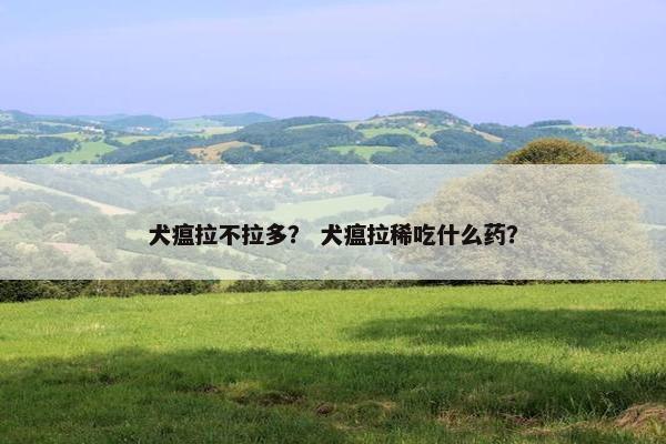 犬瘟拉不拉多？ 犬瘟拉稀吃什么药？
