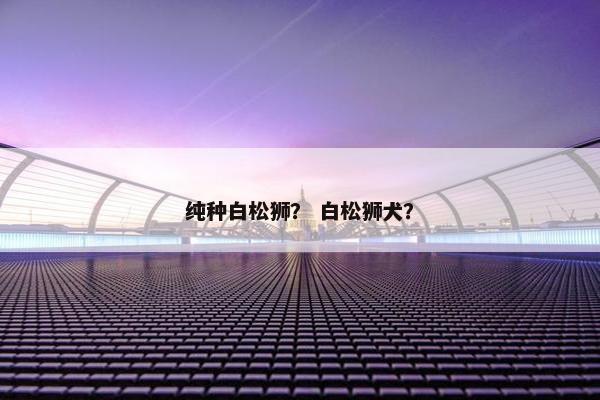 纯种白松狮？ 白松狮犬？