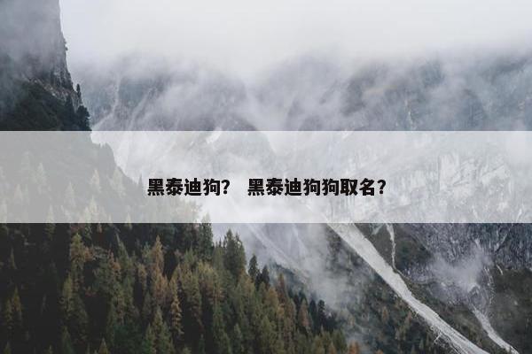 黑泰迪狗？ 黑泰迪狗狗取名？