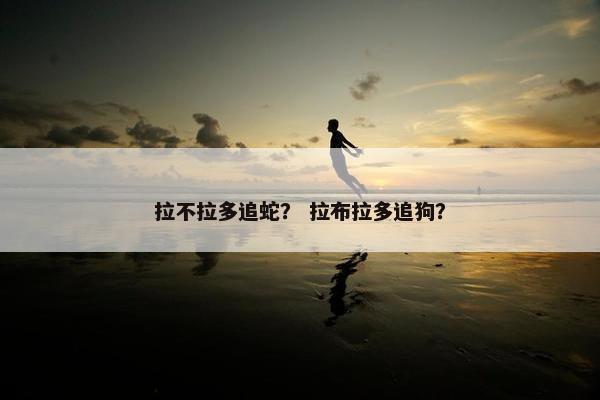 拉不拉多追蛇？ 拉布拉多追狗？