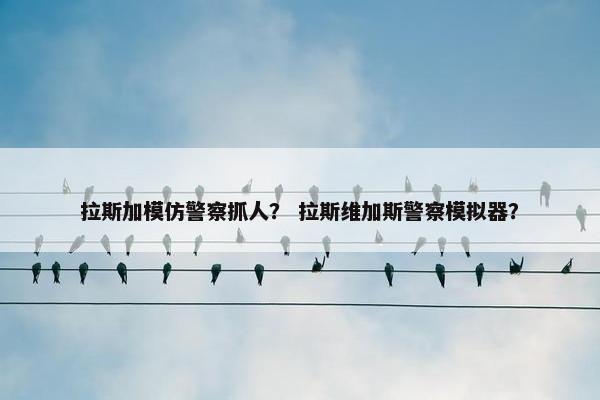 拉斯加模仿警察抓人？ 拉斯维加斯警察模拟器？