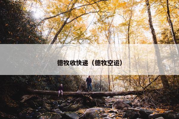 德牧收快递（德牧空运）