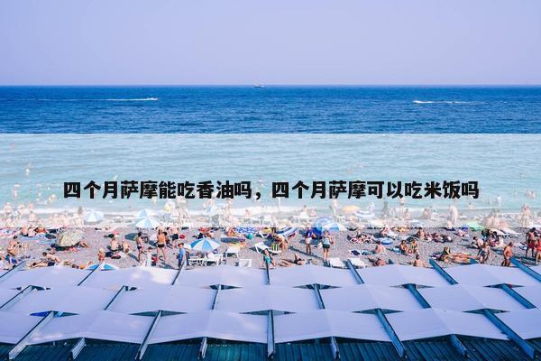 四个月萨摩能吃香油吗，四个月萨摩可以吃米饭吗