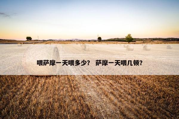 喂萨摩一天喂多少？ 萨摩一天喂几顿？