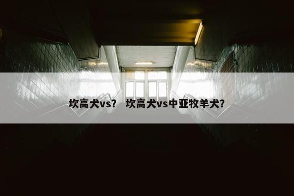坎高犬vs？ 坎高犬vs中亚牧羊犬？