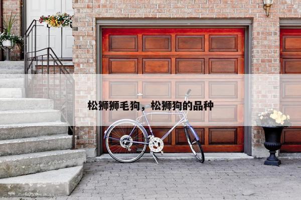 松狮狮毛狗，松狮狗的品种